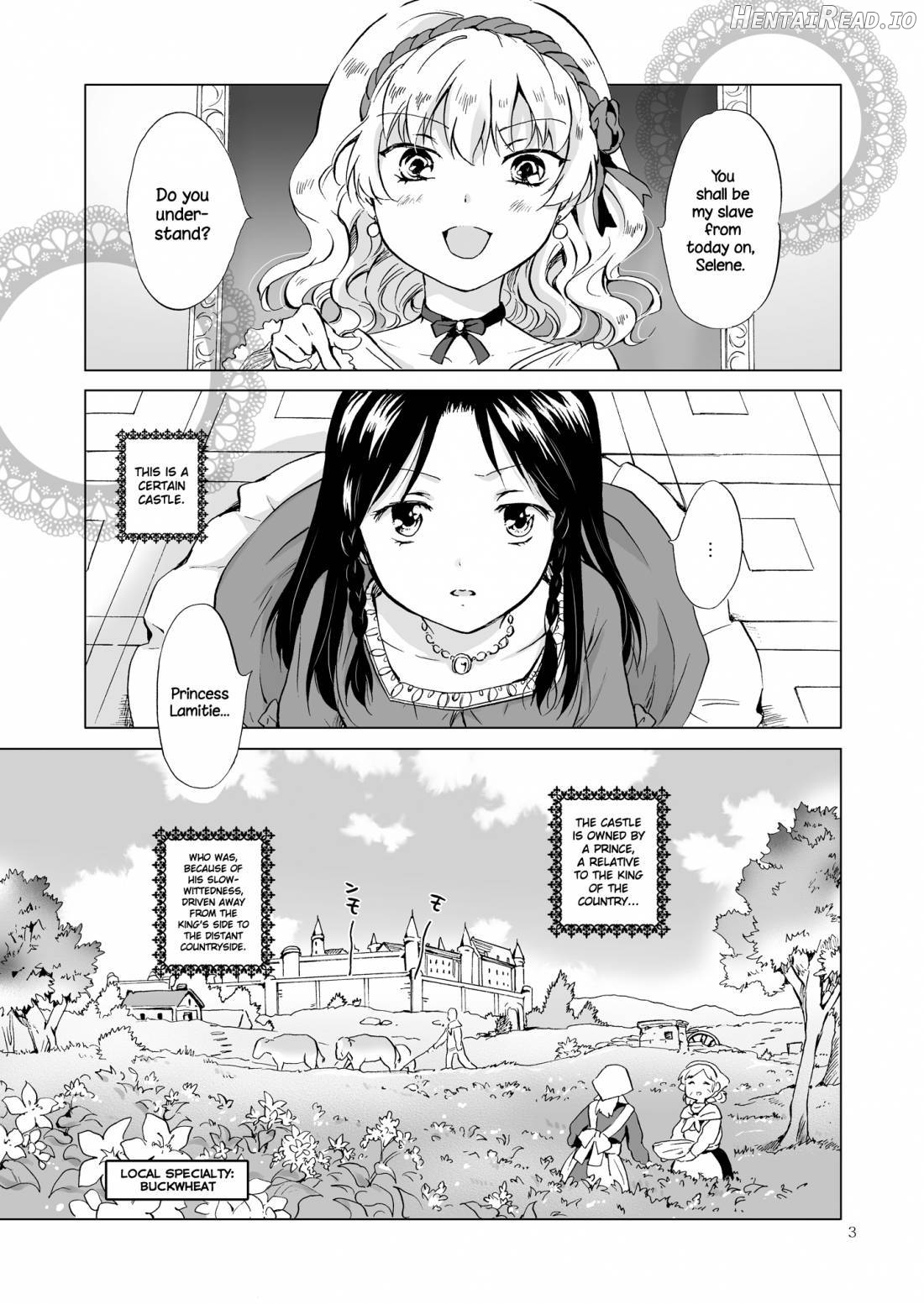 Hime-sama to Dorei-chan Chapter 1 - page 2