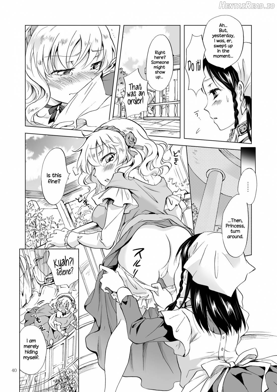 Hime-sama to Dorei-chan Chapter 1 - page 39