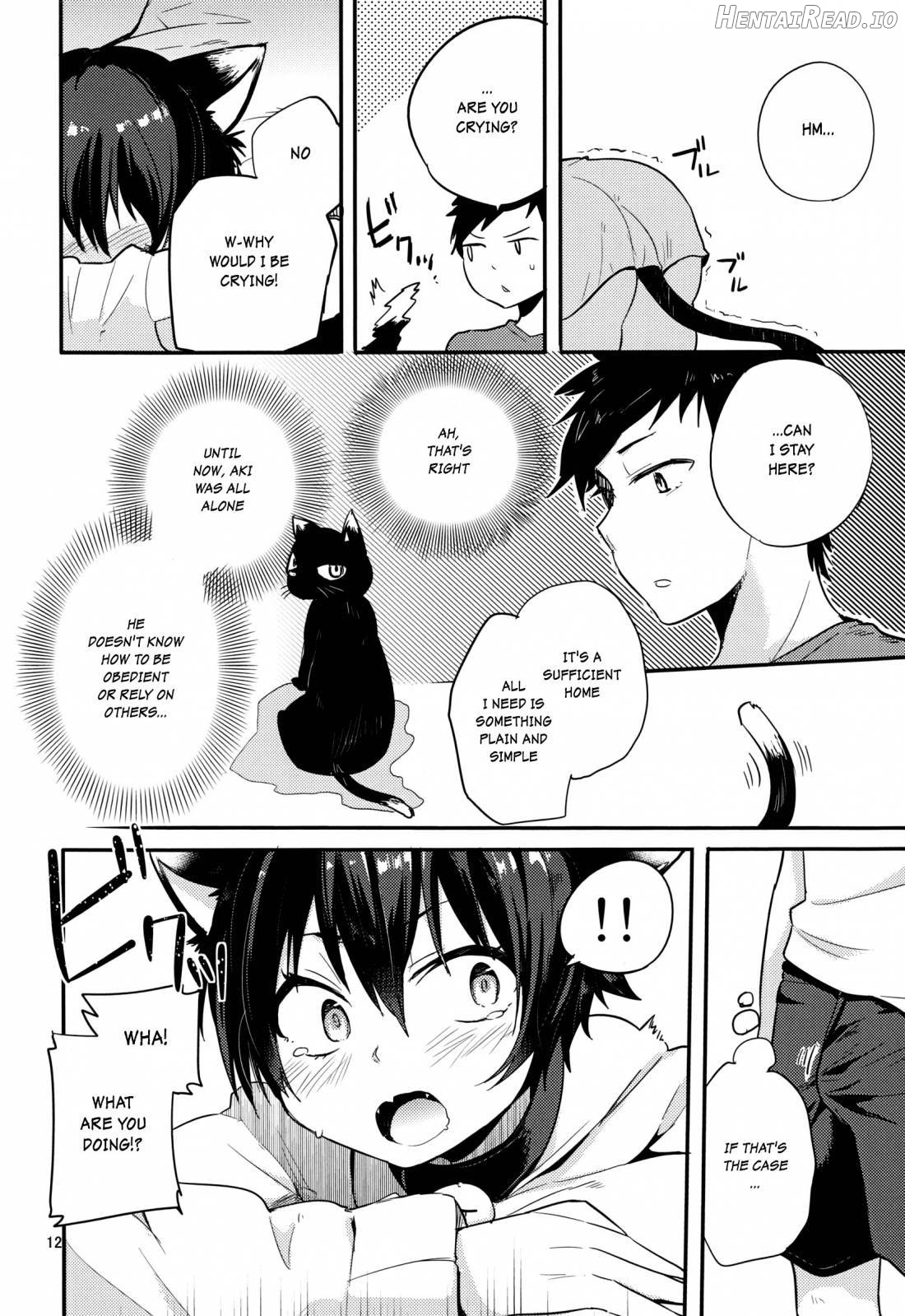 Nora Neko to Hakuchuumu Chapter 1 - page 11