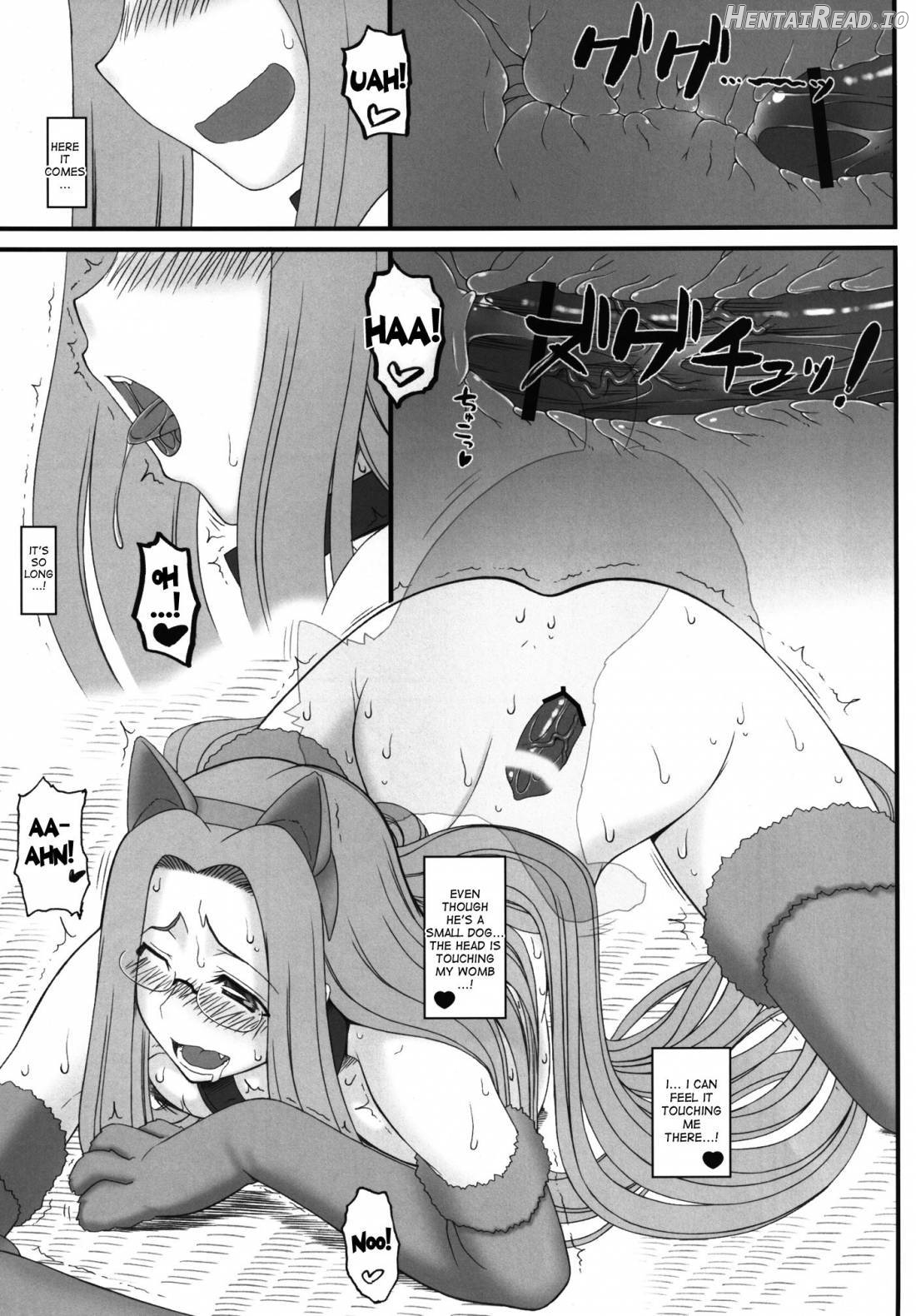 Rider-san ga Inu to SEX shichau Hon Chapter 1 - page 14