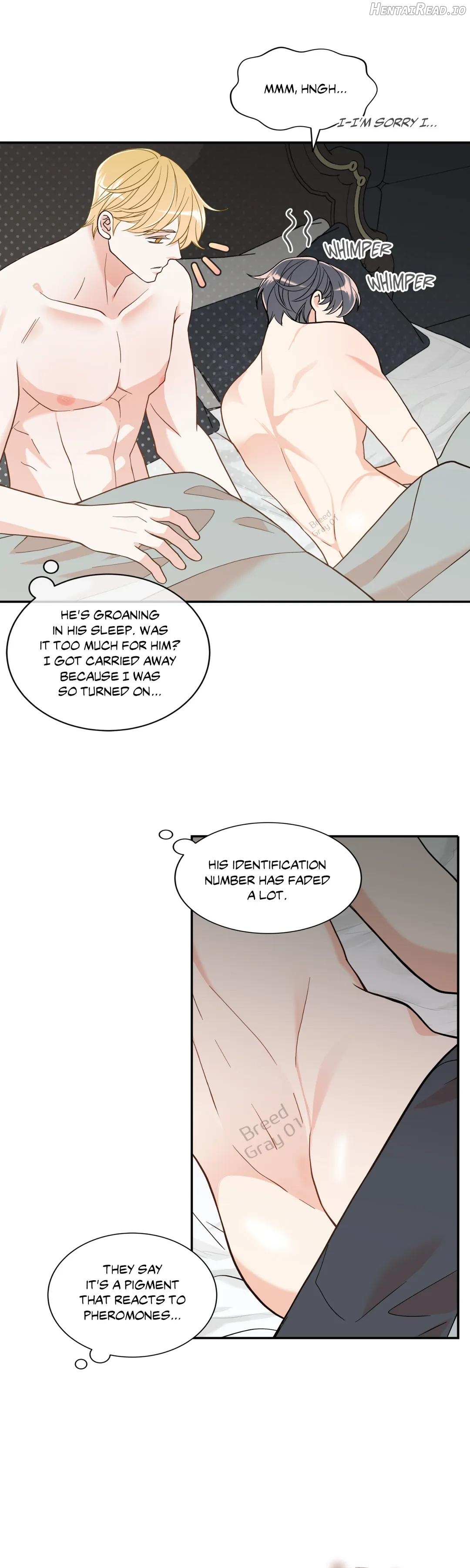 Gold Gray Chapter 122 - page 31