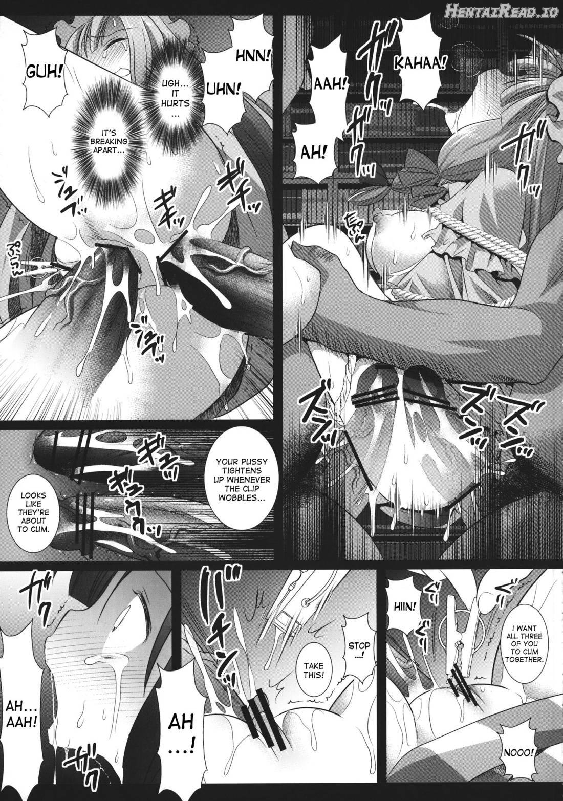 Touhou Ryoujoku 20 Alice Rinkan・Gangu-zeme Chapter 14 - page 14