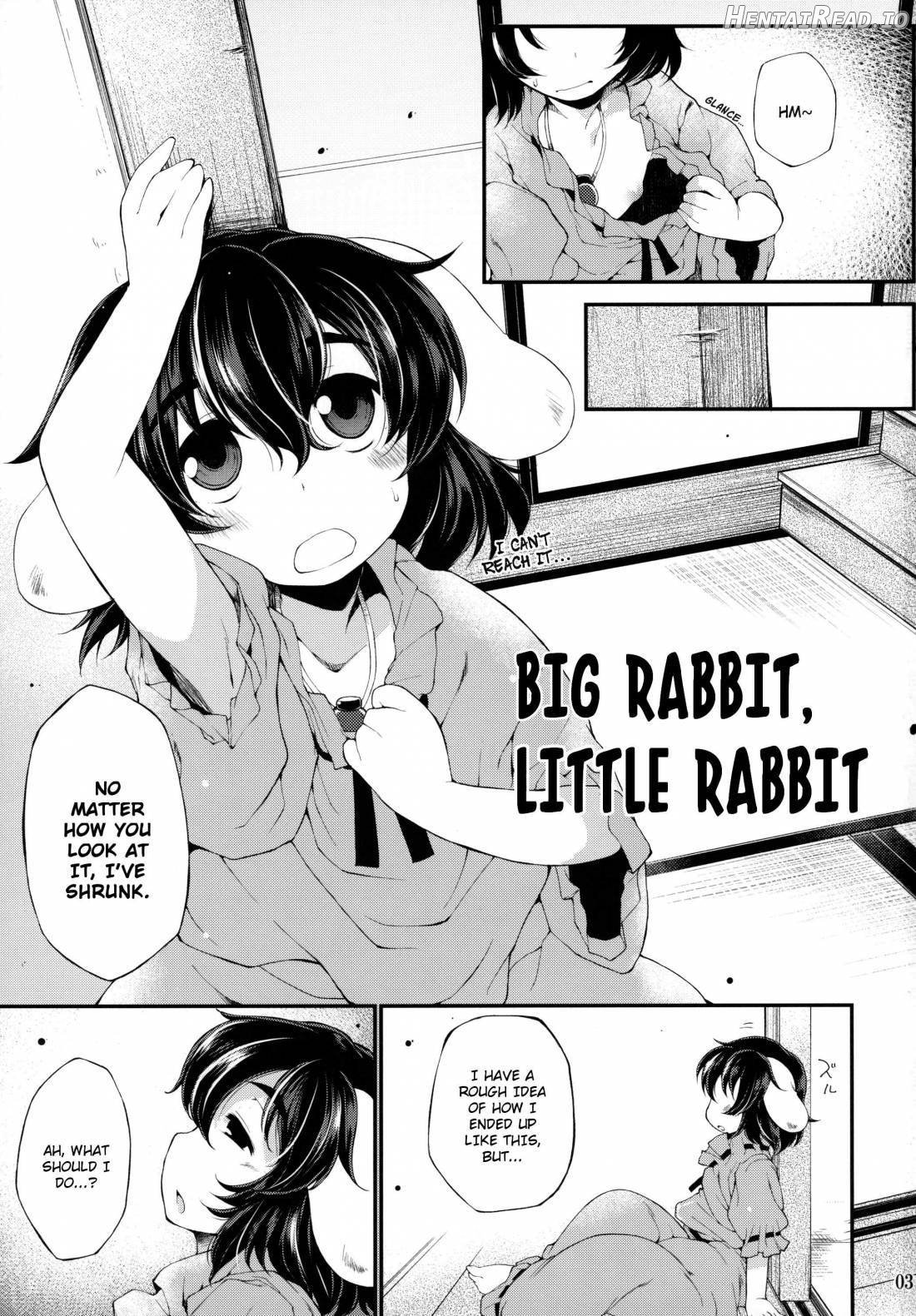 Ookina Usagi Chiisana Usagi Chapter 1 - page 2