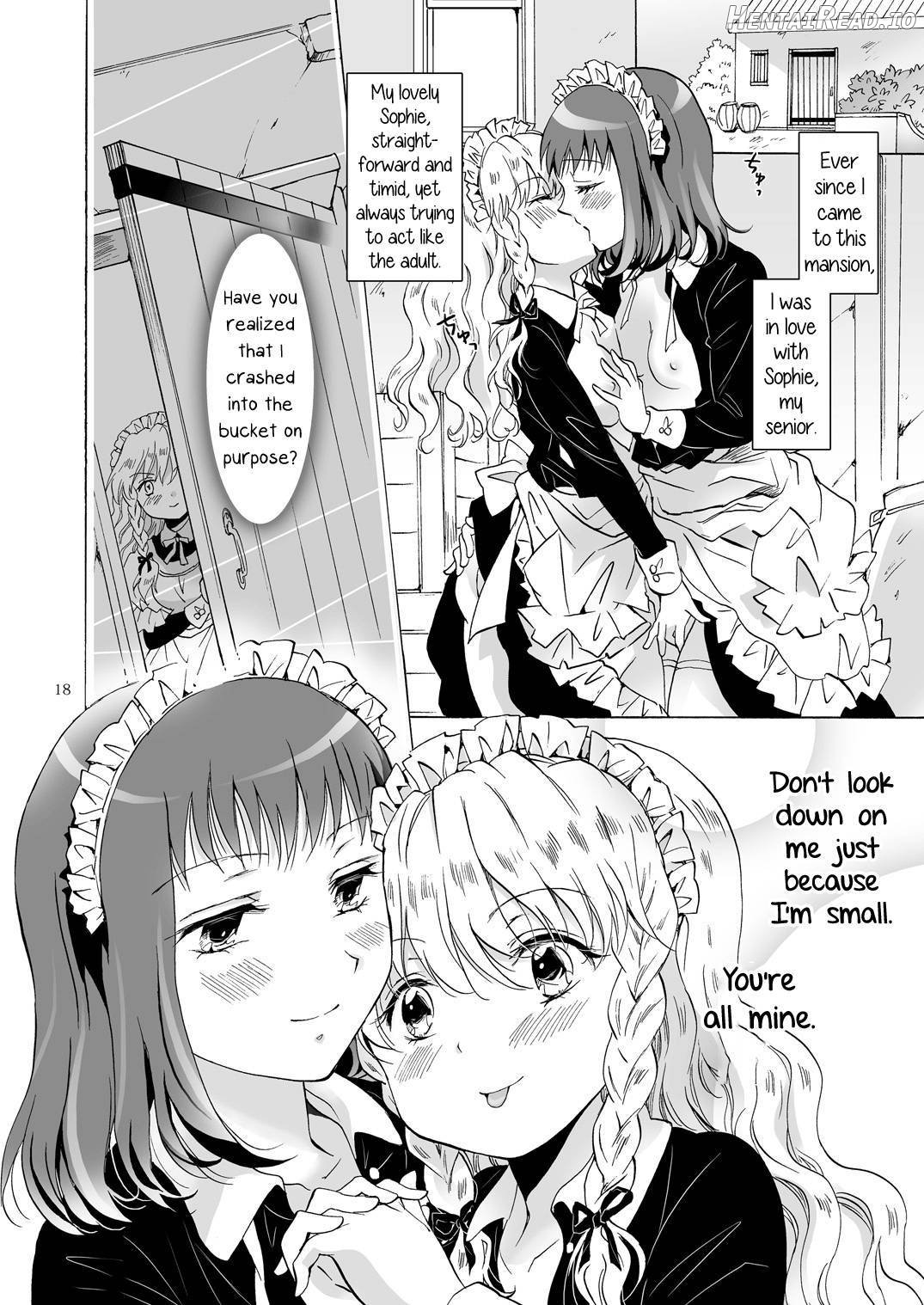 Chiisana Maid-san no Himitsu Chapter 1 - page 17