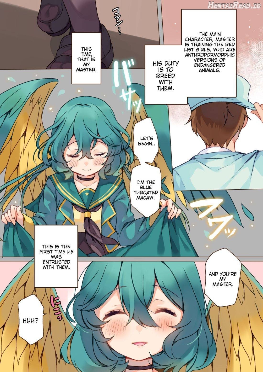 MACAW;EDUCATION Chapter 1 - page 3