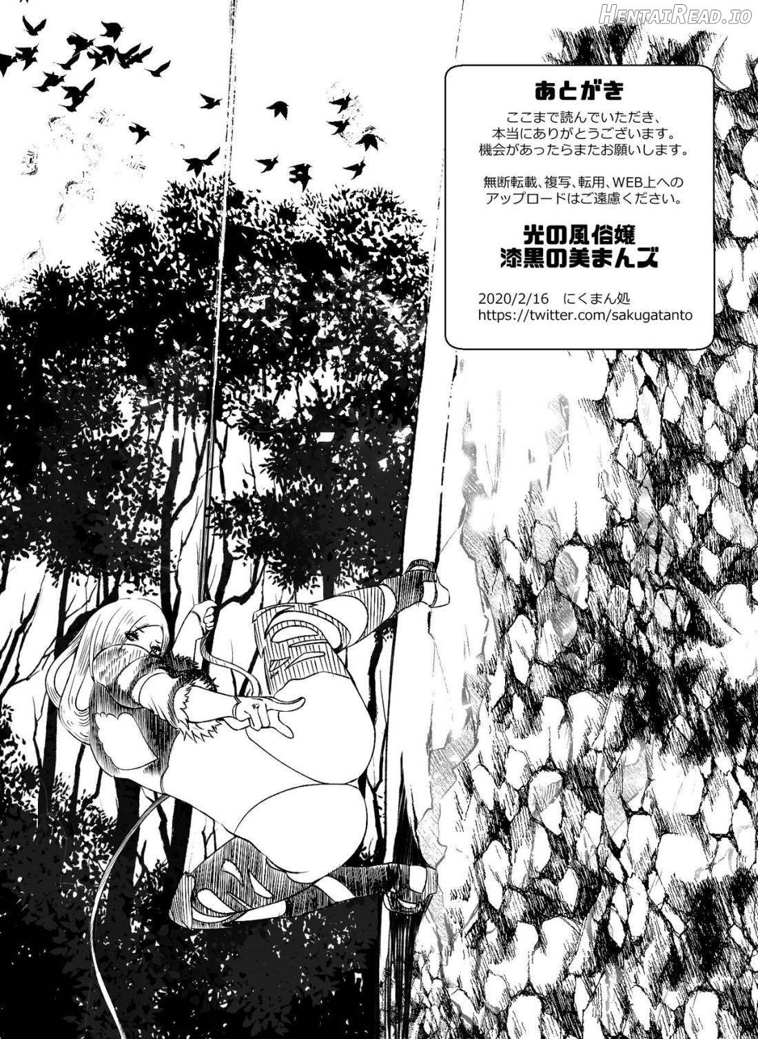 Hikari no Fuuzoku Jou ni Portio Shitara Shisshin Shita Chapter 1 - page 25