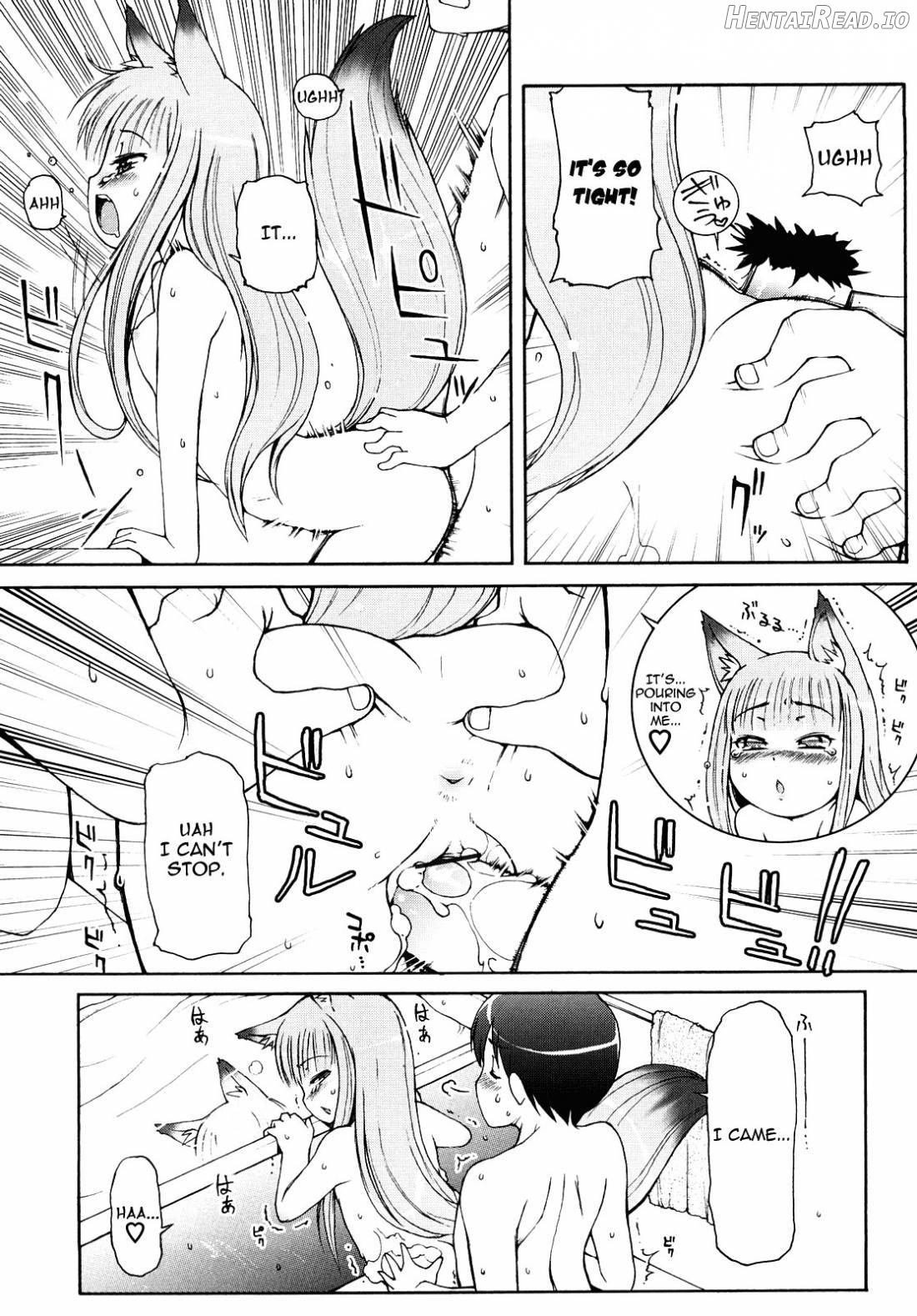 Kemomimi Onsen e Youkoso Ver. 1.1 Chapter 1 - page 47