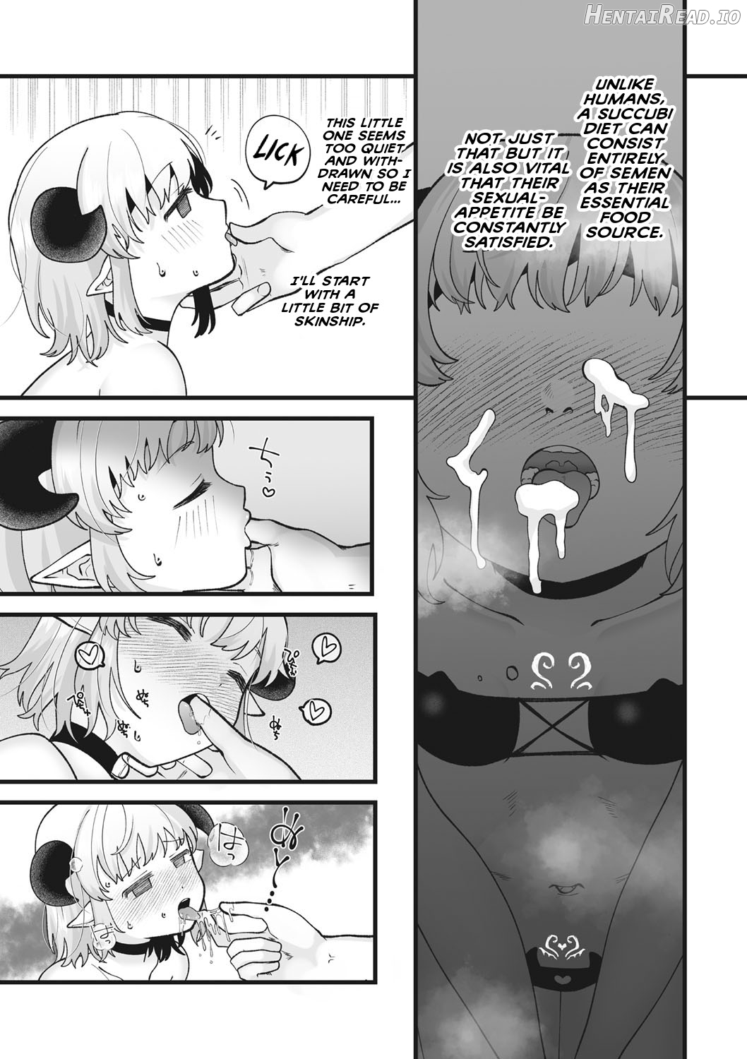 Loli Succubus-chan no Kaikata Chapter 1 - page 4