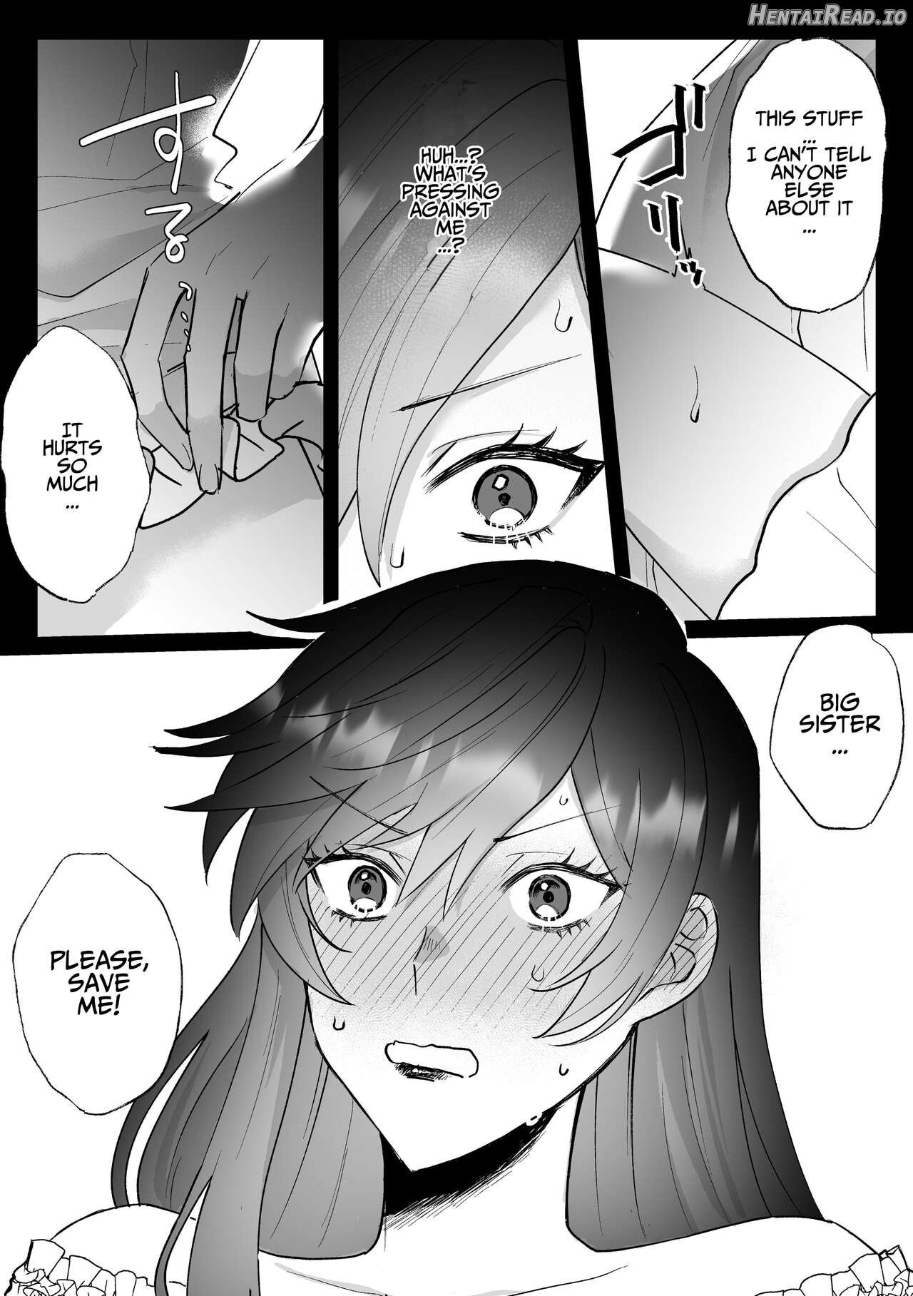 Danzai Route o Kaihi Shiyou to Shita Akuyaku Reijou wa Futanari Seijo no Imouto ni Dekiai Saremashita Chapter 1 - page 17