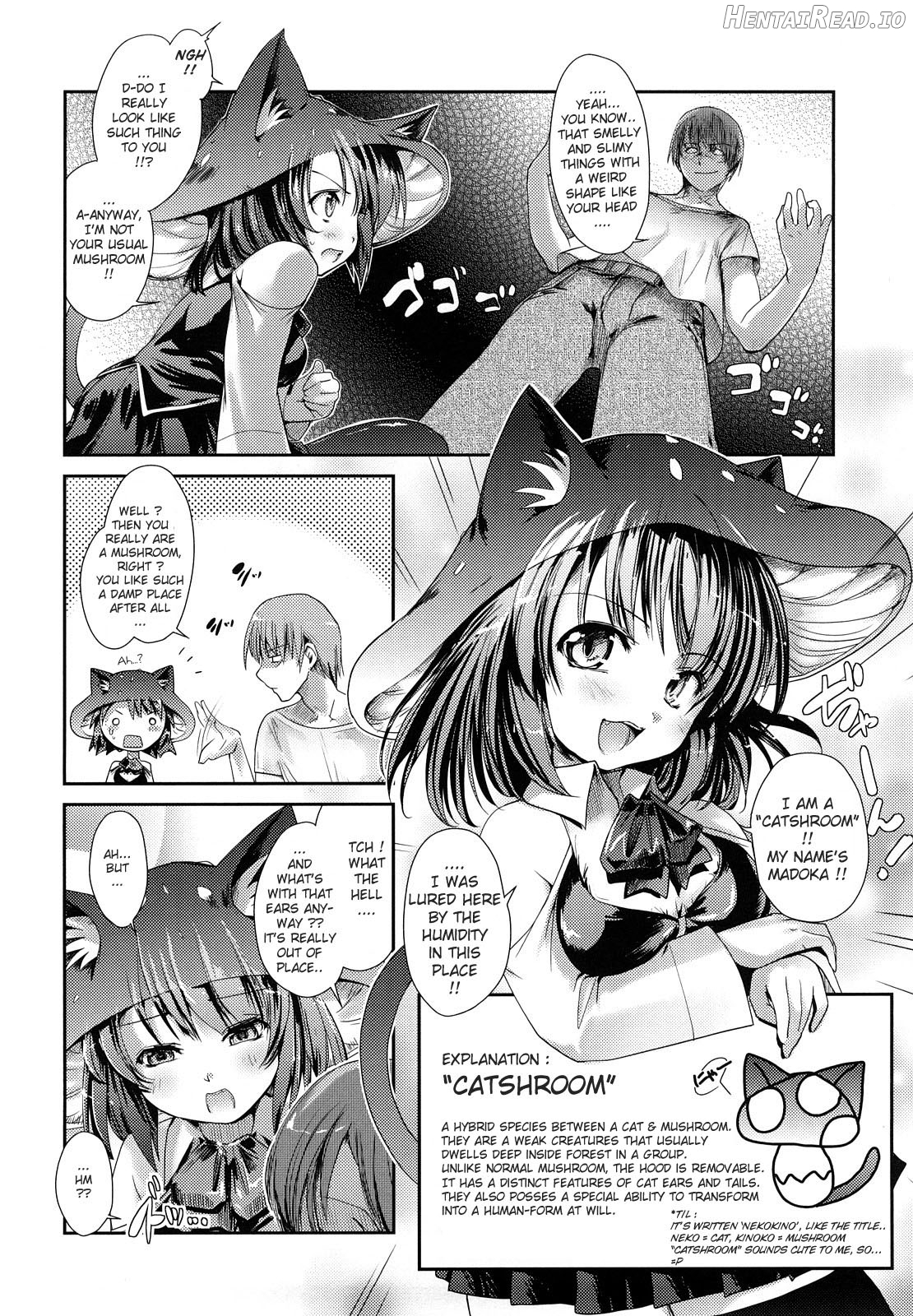 Nekokino to Ame no Machi Chapter 1 - page 10