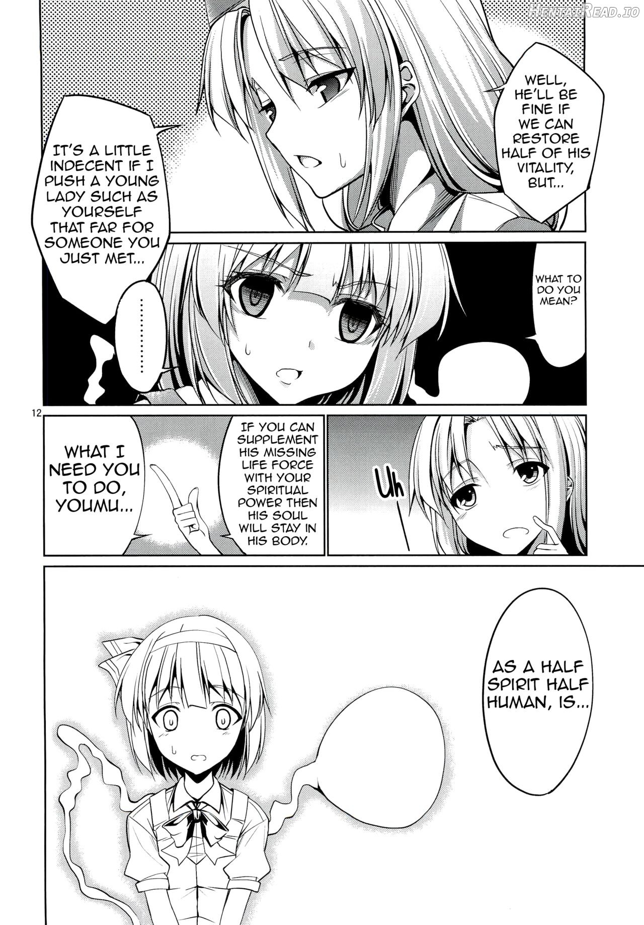 Touhou Youengi ~Youmu ni Hirotte morau Hon~ Chapter 1 - page 11