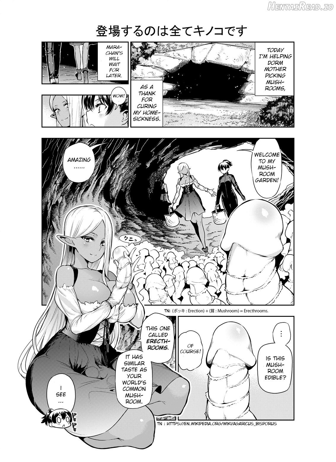 Futanari no Elf Chapter 1 - page 26